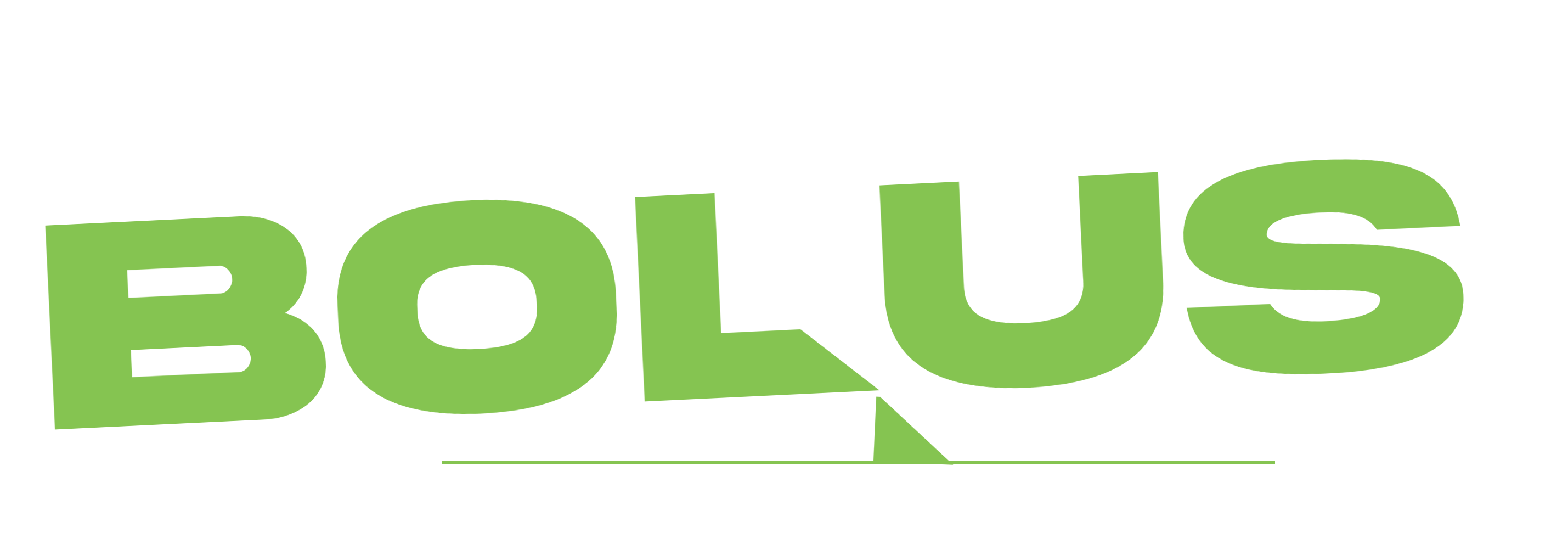 bolus digital agency